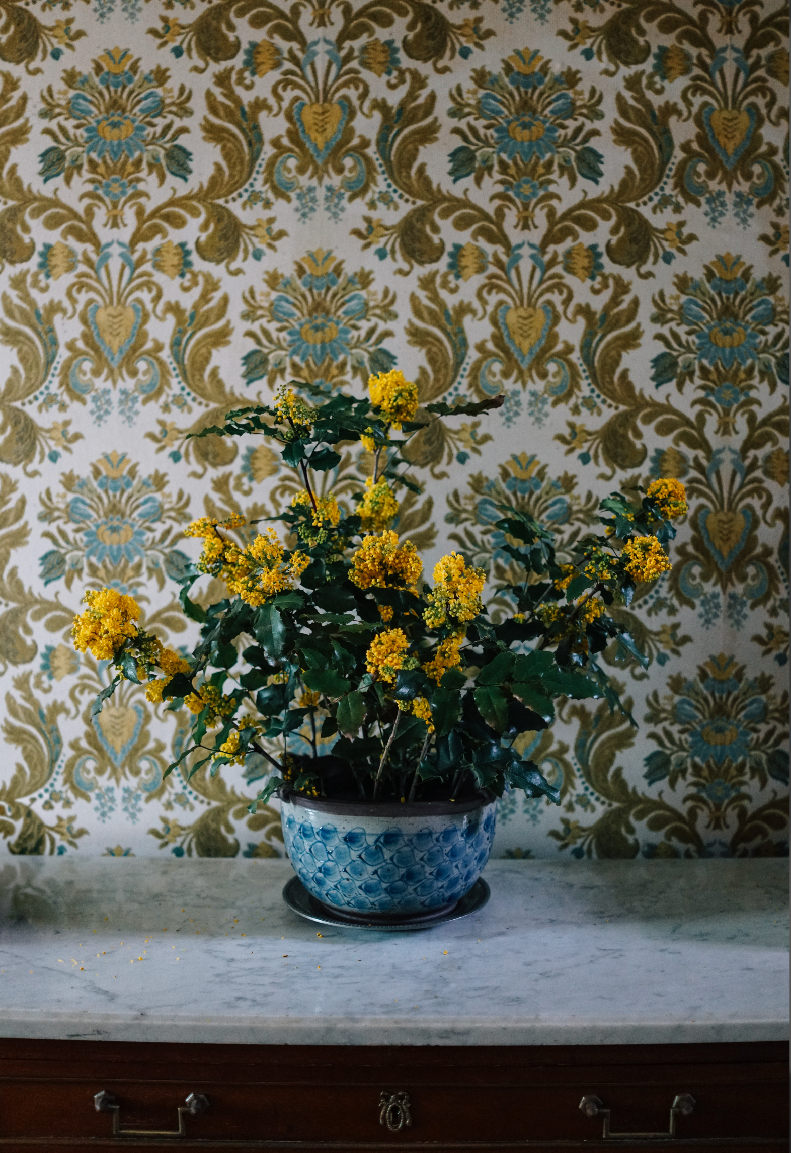 Portfolio image